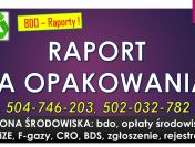 Obsługa BDO, cennik tel. 504-746-203. Sprawozdanie za opakowania, pomoc