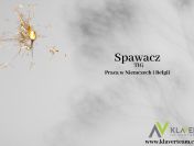 Spawacz TIG / Specjalista ds. Montażu - Belgia