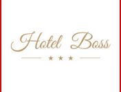 Hotel Boss